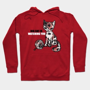 BIG CAT IS WATCHING YOU Hoodie